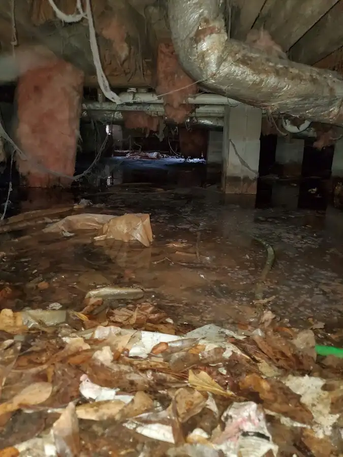 Crawl space flood assessment for Leak Detection & Repair in Gateway